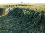 Silbury Hill (2), Wiltshire crop circle, aerial photo 13
