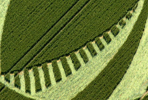 Silbury Hill (2), Wiltshire crop circle, aerial photo 31