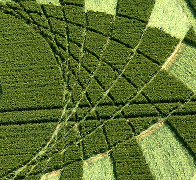 Silbury Hill (2), Wiltshire crop circle, aerial photo 30