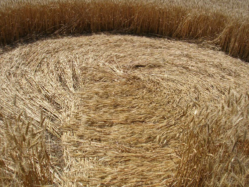 Sompting, Sussex crop circle, aerial photo 9
