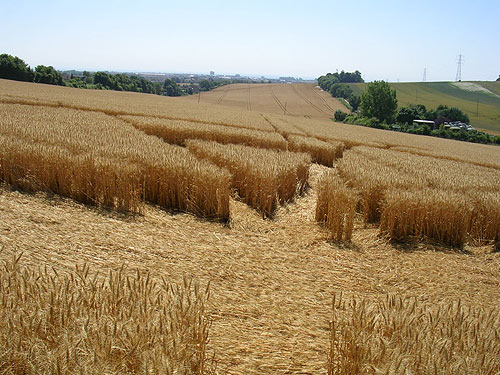 Sompting, Sussex crop circle, aerial photo 10