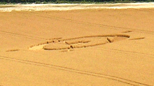 Sompting, Sussex crop circle, aerial photo 4