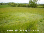 Southend, Oxfordshire crop circle, aerial photo 11