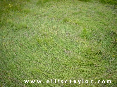 Southend, Oxfordshire crop circle, aerial photo 2