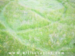 Southend, Oxfordshire crop circle, aerial photo 14