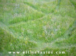 Southend, Oxfordshire crop circle, aerial photo 11
