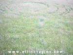 Southend, Oxfordshire crop circle, aerial photo 12
