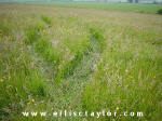 Southend, Oxfordshire crop circle, aerial photo 7