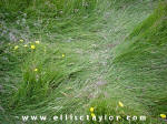 Southend, Oxfordshire crop circle, aerial photo 9