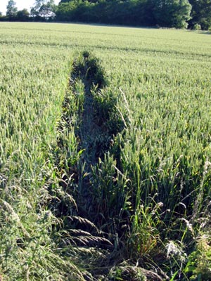 Stephen's Castle Down, Hampshire crop circle, aerial photo 6