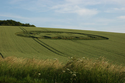 Telegraph Hill, Hampshire crop circle, aerial photo 6