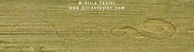 Toot Baldon, Oxfordshire crop circle, aerial photo 6