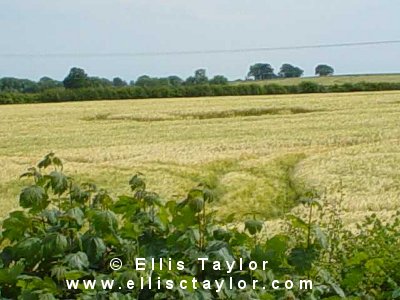 Toot Baldon, Oxfordshire crop circle, aerial photo 7
