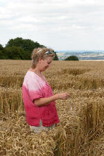 Woolstone Hill, Oxfordshire crop circle, aerial photo 23