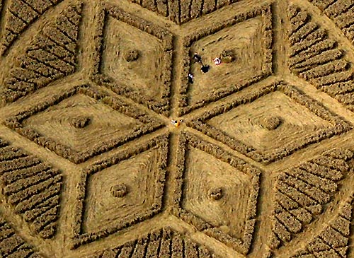 Woolstone Hill, Oxfordshire crop circle, aerial photo 30