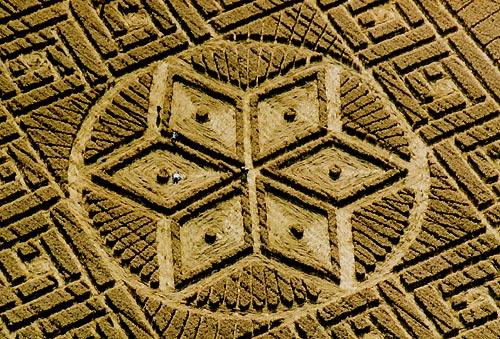 Woolstone Hill, Oxfordshire crop circle, aerial photo 27