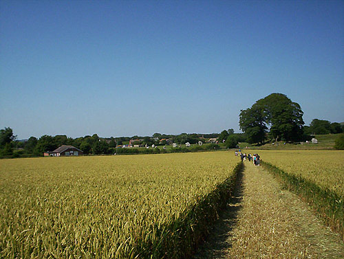 Waden Hill, Wiltshire crop circle, aerial photo 15