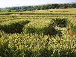 Waden Hill, Wiltshire crop circle, aerial photo 23