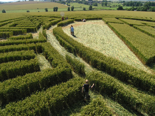 Waden Hill, Wiltshire crop circle, aerial photo 8