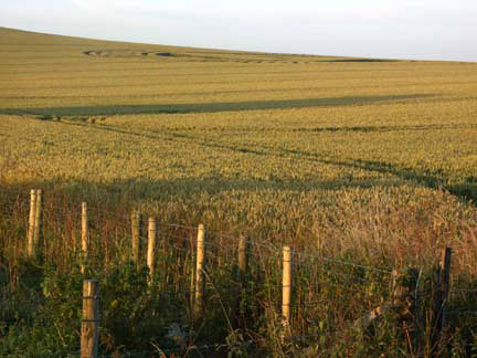 Waden Hill, Wiltshire crop circle, aerial photo 10