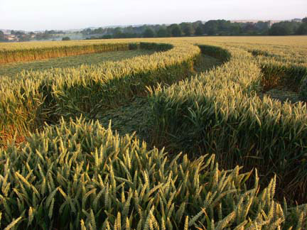Waden Hill, Wiltshire crop circle, aerial photo 11