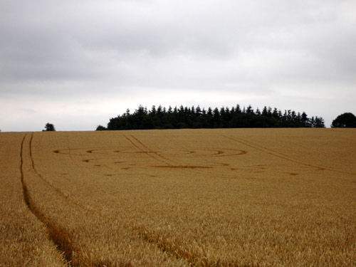 Watlington Road, Oxfordshire crop circle, aerial photo 7