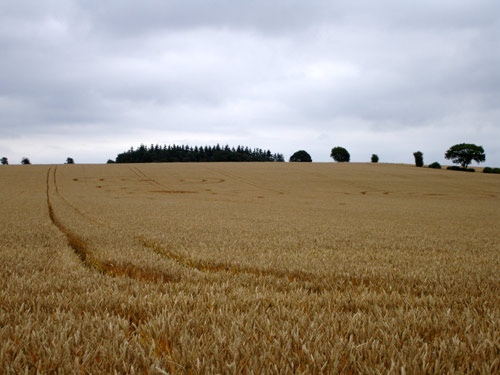Watlington Road, Oxfordshire crop circle, aerial photo 8