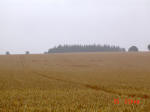 Watlington Road, Oxfordshire crop circle, aerial photo 9