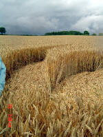 Watlington Road, Oxfordshire crop circle, aerial photo 13
