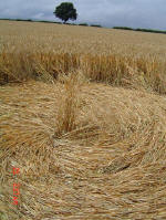 Watlington Road, Oxfordshire crop circle, aerial photo 12