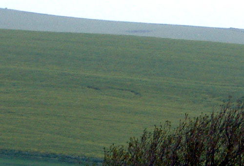Alfriston, Sussex crop circle, aerial photo 4