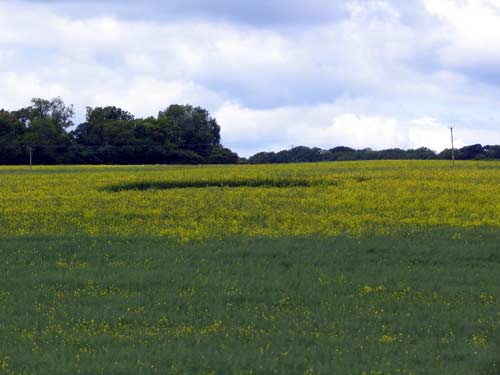Botley, Oxford crop circle, aerial photo 10