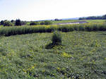Botley, Oxford crop circle, aerial photo 4