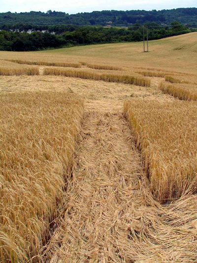 The Pilgrims Way, Kent crop circle, aerial photo 6