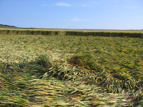 Wouldham, Kent crop circle, aerial photo 7