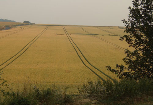 Wouldham, Kent crop circle, aerial photo 5