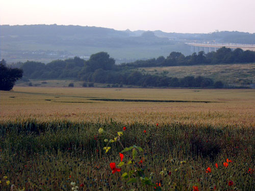 Wouldham, Kent crop circle, aerial photo 10
