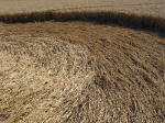 Arreton, Isle of Wight crop circle, aerial photo 7