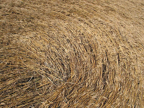 Arreton, Isle of Wight crop circle, aerial photo 5