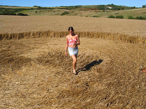 Arreton, Isle of Wight crop circle, aerial photo 2