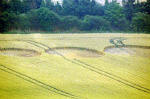 Aston, Hertfordshire crop circle, aerial photo 6