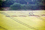Aston, Hertfordshire crop circle, aerial photo 7