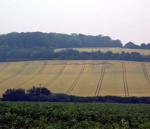 Aston, Hertfordshire crop circle, aerial photo 18