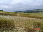 Aston, Hertfordshire crop circle, aerial photo 9
