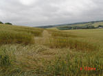 Aston, Hertfordshire crop circle, aerial photo 12