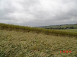 Aston, Hertfordshire crop circle, aerial photo 14