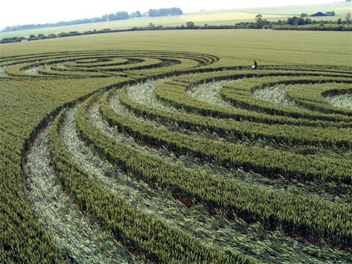 Avebury Trusloe, Wiltshire crop circle, aerial photo 16
