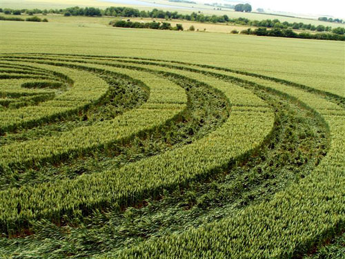 Avebury Trusloe, Wiltshire crop circle, aerial photo 17