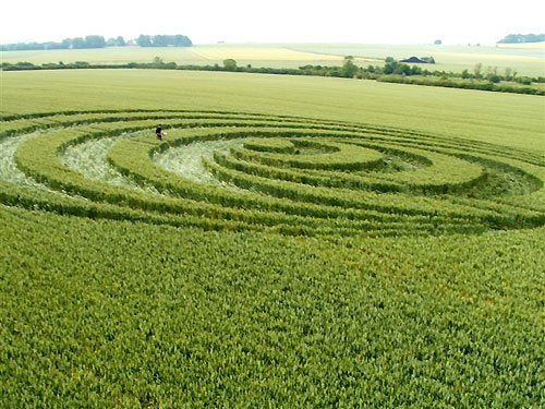 Avebury Trusloe, Wiltshire crop circle, aerial photo 18