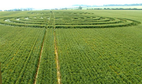 Avebury Trusloe, Wiltshire crop circle, aerial photo 19